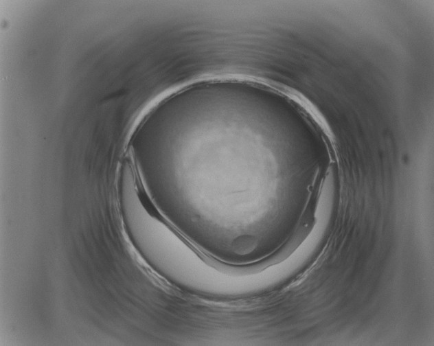 X0000084031388200703022111