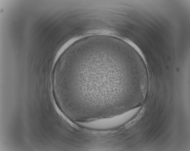 X0000084031389200703022111