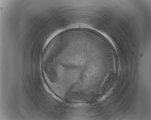 X0000084031390200703022111