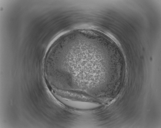 X0000084031392200703022111