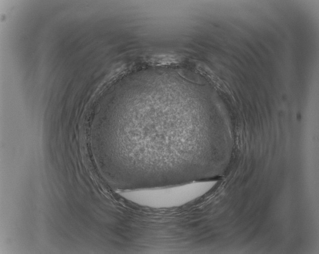 X0000084031393200703022110