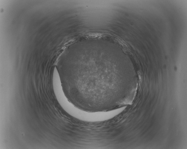 X0000084031394200703022110