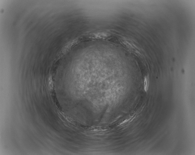 X0000084031395200703022110