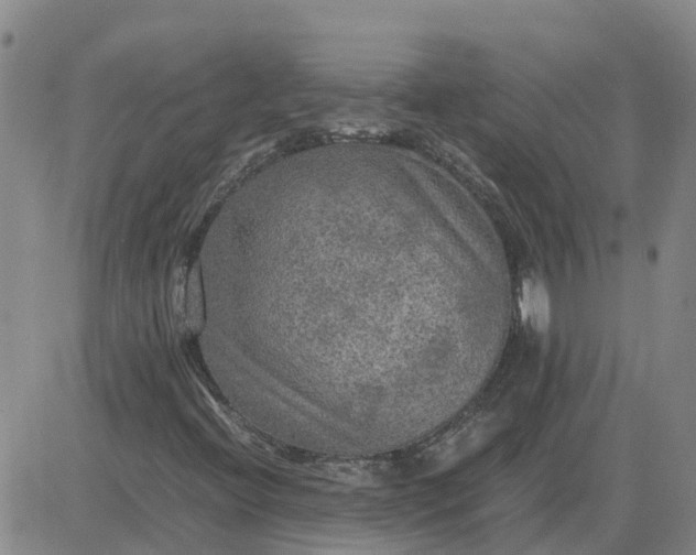 X0000084031396200703022110