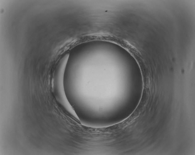 X0000084031398200703022110