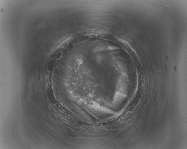 X0000084031399200703022110