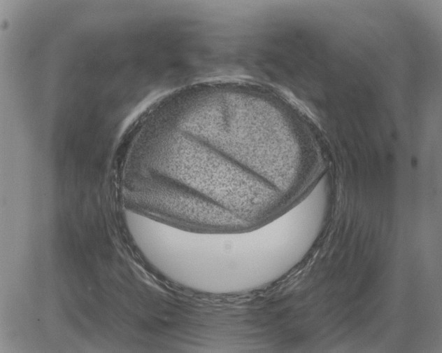 X0000084031400200703022110