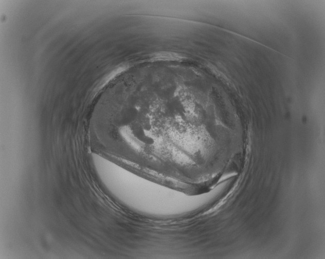 X0000084031401200703022110