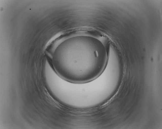 X0000084031402200703022110