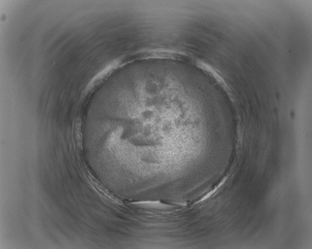 X0000084031403200703022110