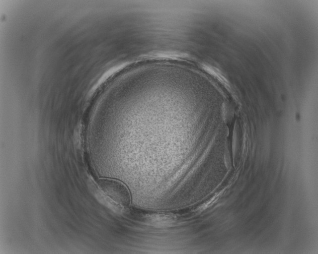 X0000084031404200703022111