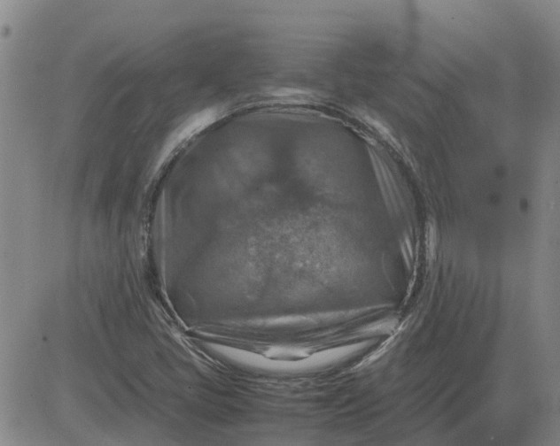 X0000084031405200703022111