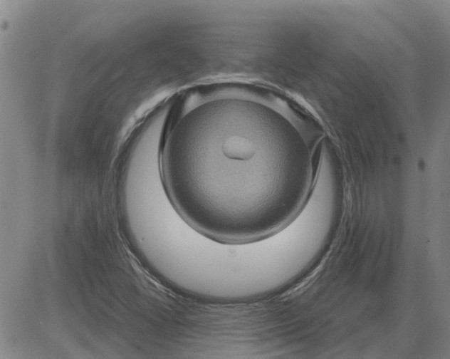 X0000084031406200703022111