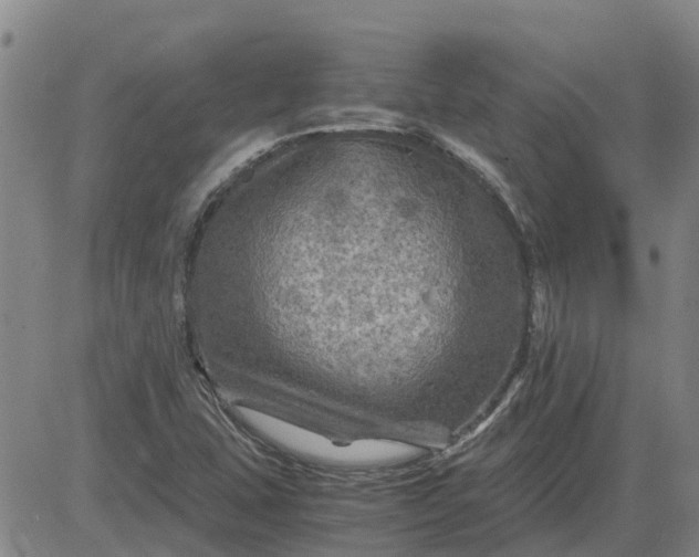 X0000084031407200703022111