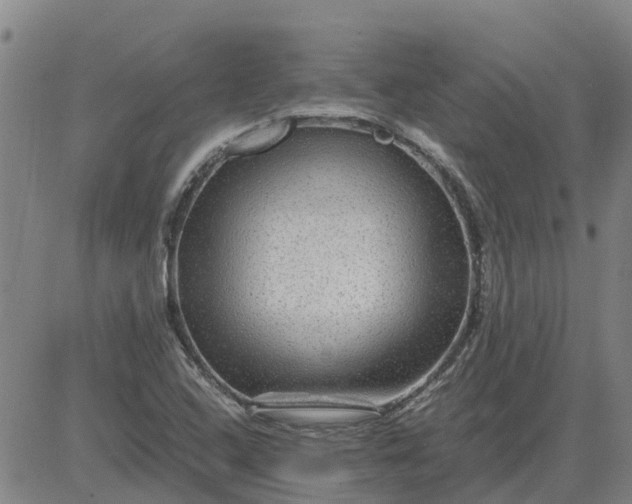 X0000084031408200703022111