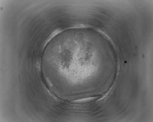 X0000084031409200703022111