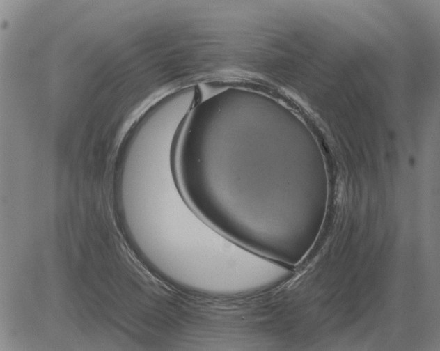 X0000084031410200703022111