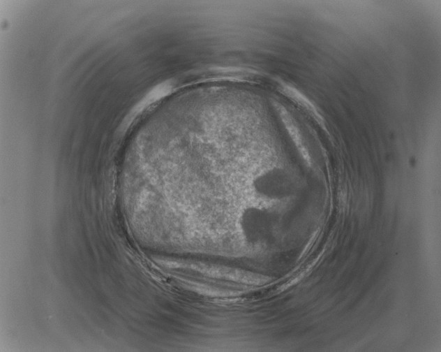 X0000084031411200703022111