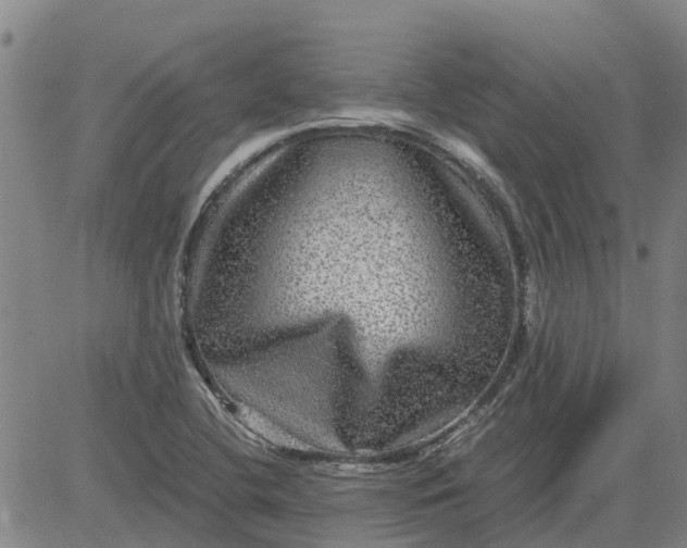 X0000084031412200703022111