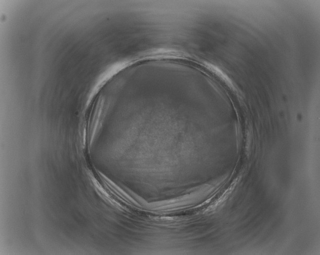 X0000084031413200703022111