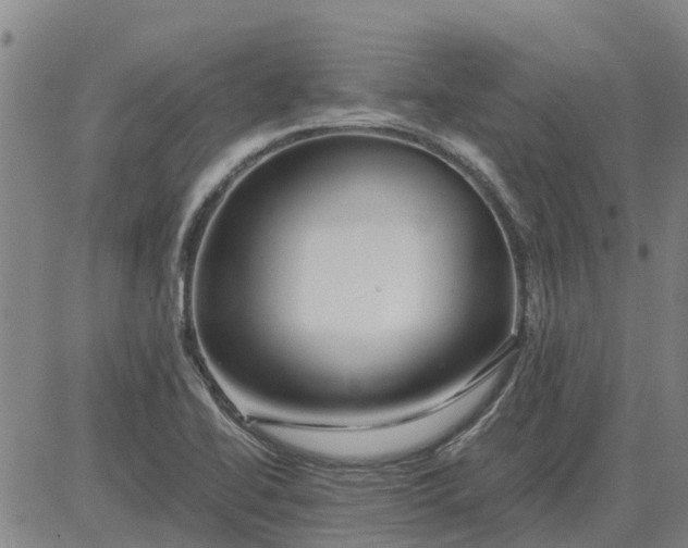 X0000084031414200703022111