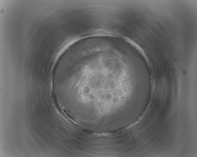 X0000084031415200703022111