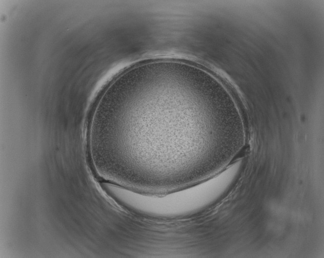 X0000084031416200703022111