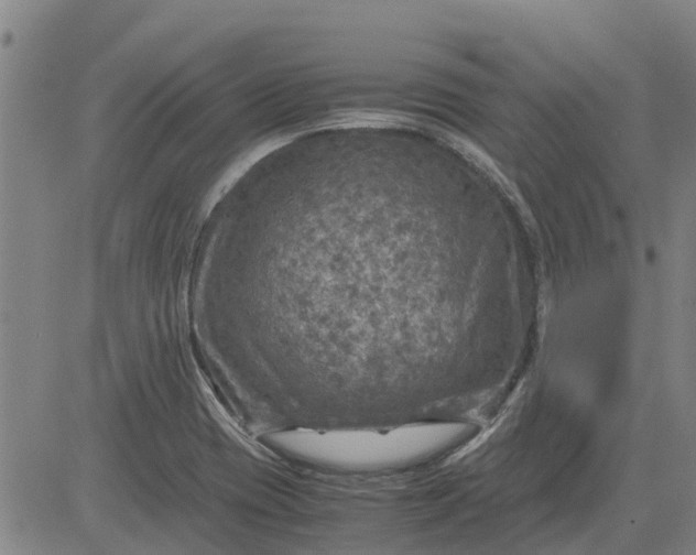 X0000084031417200703022111