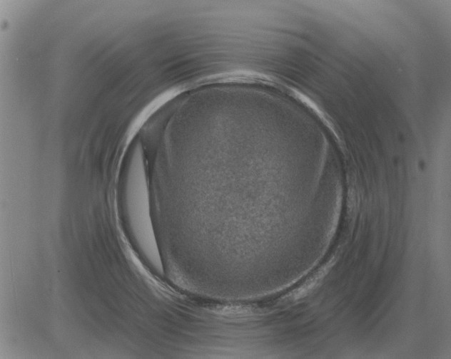 X0000084031418200703022111