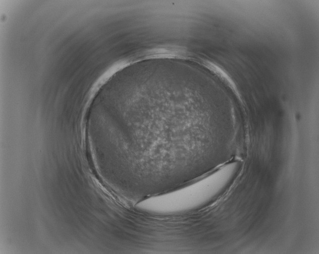 X0000084031419200703022111