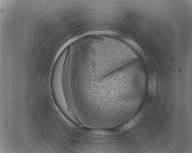 X0000084031420200703022111