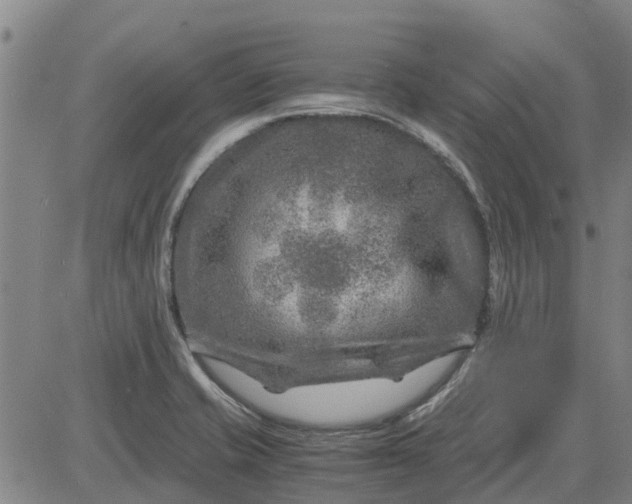 X0000084031421200703022111