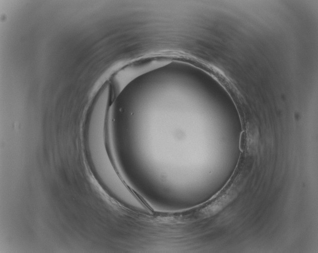 X0000084031422200703022111