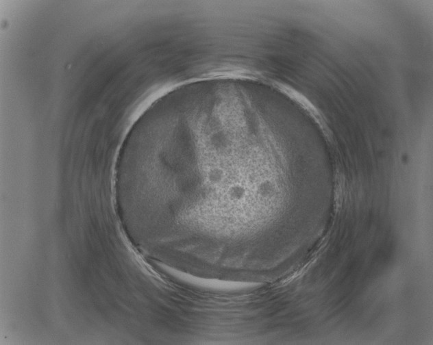 X0000084031423200703022111