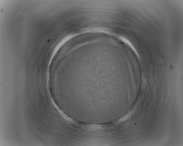 X0000084031424200703022111