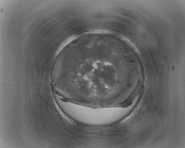 X0000084031425200703022111