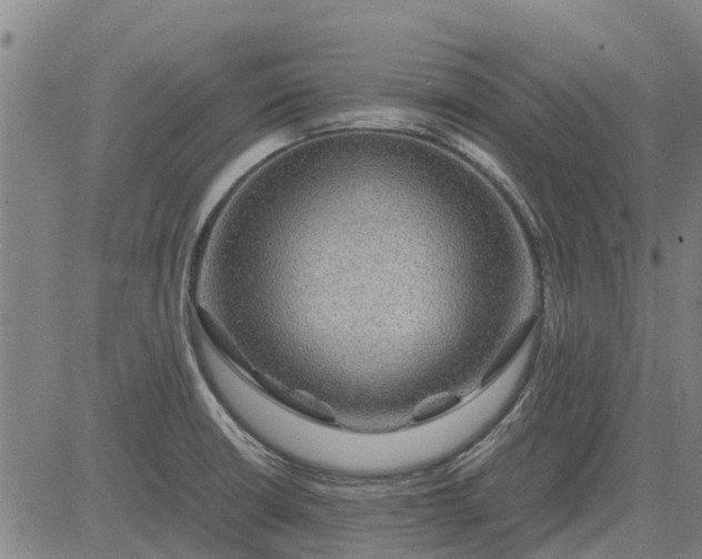 X0000084031426200703022111