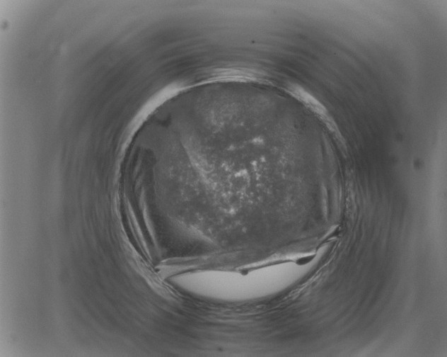 X0000084031427200703022111