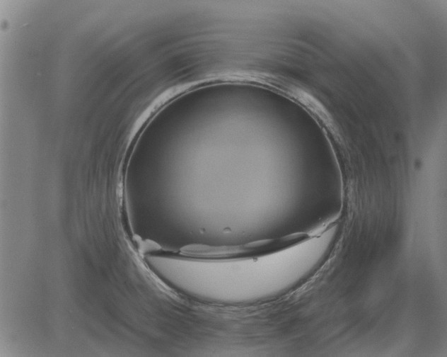 X0000084031428200703022111