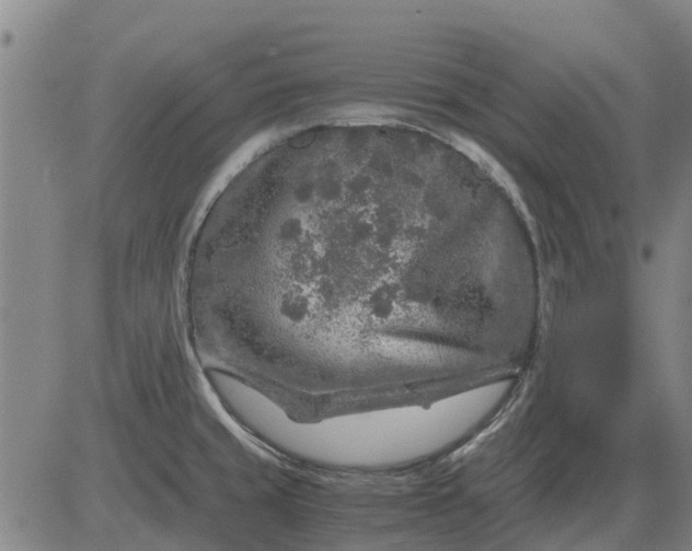 X0000084031429200703022111