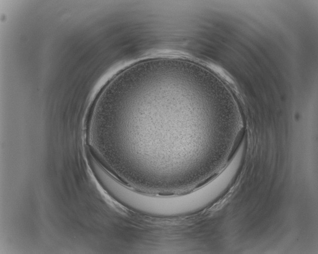 X0000084031430200703022111