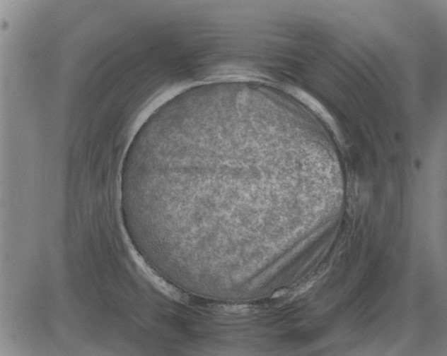 X0000084031431200703022111