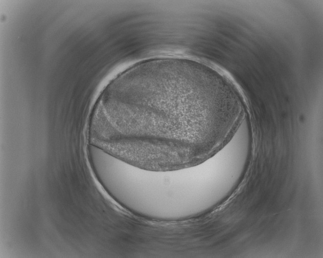 X0000084031432200703022111