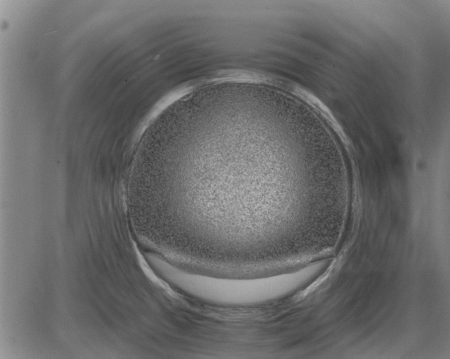 X0000084031433200703022111