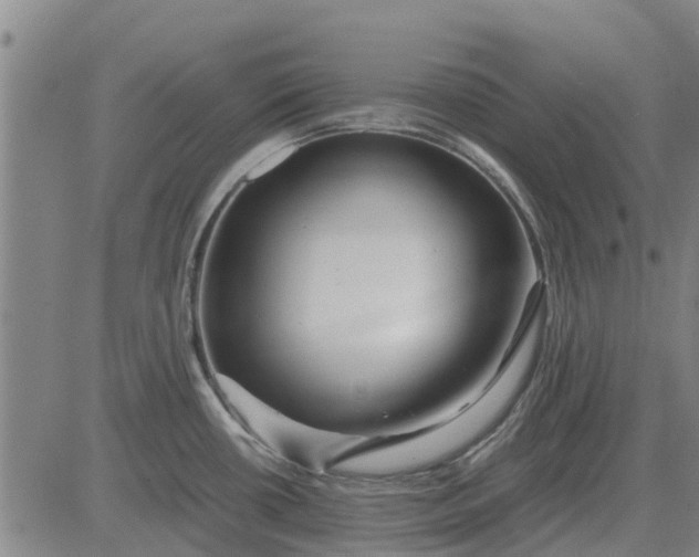 X0000084031434200703022111