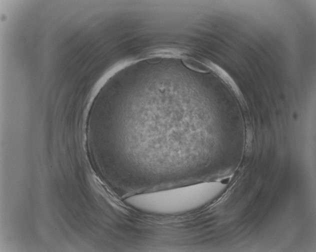 X0000084031435200703022111