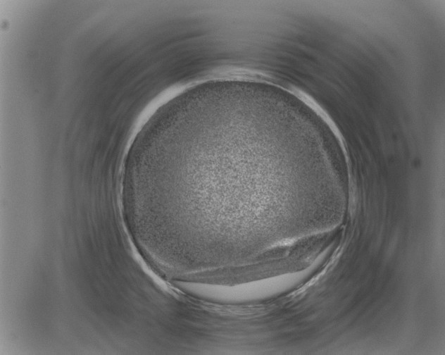 X0000084031437200703022111