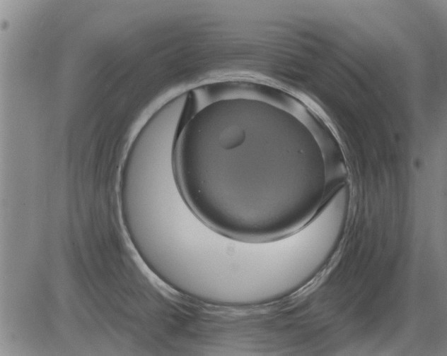 X0000084031438200703022111