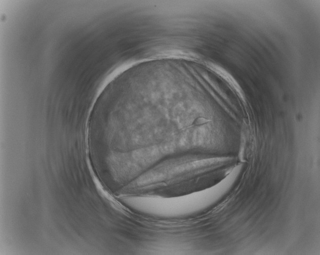 X0000084031439200703022111