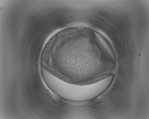 X0000084031440200703022111